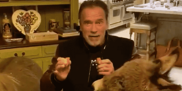 Arnold Schwarzenegger, His Donkey and Horse on the Coronavirus Outbreak: ‘We Will Get Through This Together’