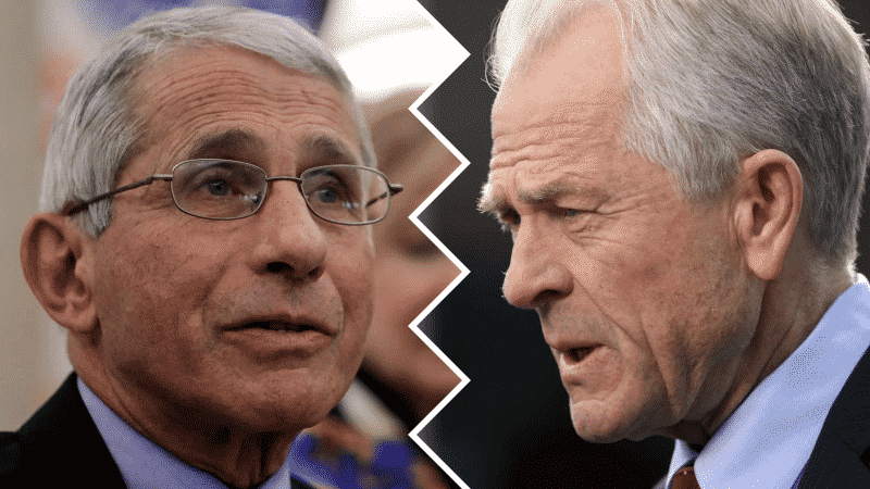 WH Adviser Rebukes Dr. Fauci in Scorching Op-Ed: ‘Wrong About Everything’