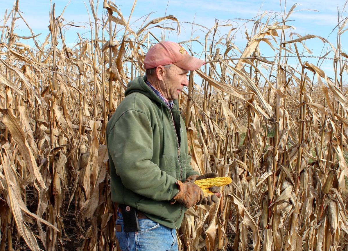 Trump EPA Sides With Farmers Over Refiners in Biofuel Waiver Decision