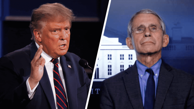 Trump Blasts Fauci in Call With Campaign Staff: Reports