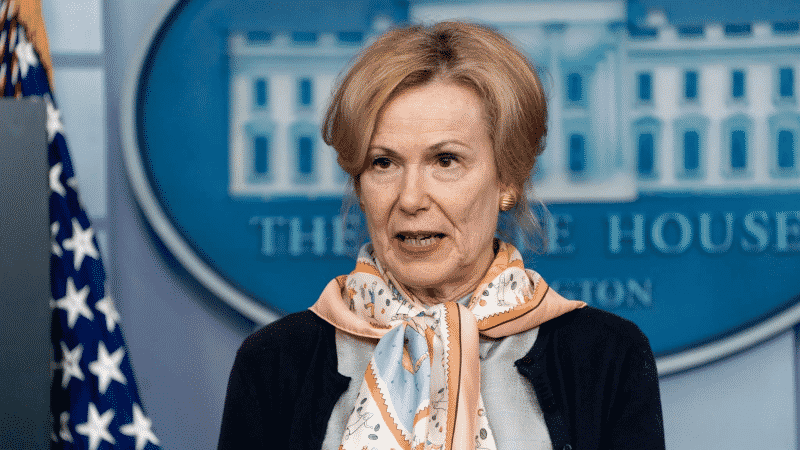 Dr. Birx Comes Under Fire After Reports Reveal She Traveled Over Thanksgiving Weekend, Saw Family