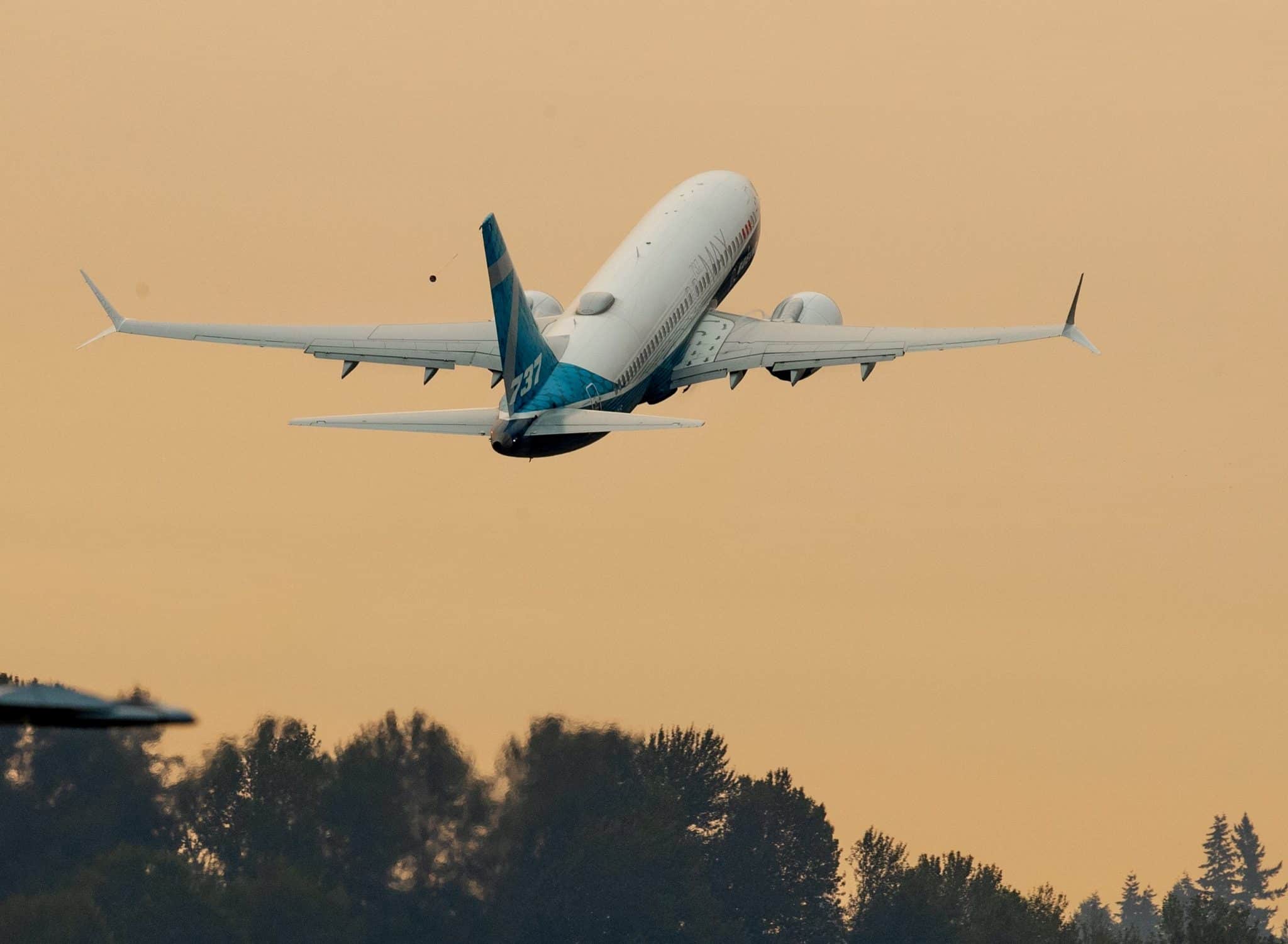 Vegan Upset Over What Airline Gave Her on 6-Hour Flight: ‘Everyone Was Eating Hot Food’ but Her