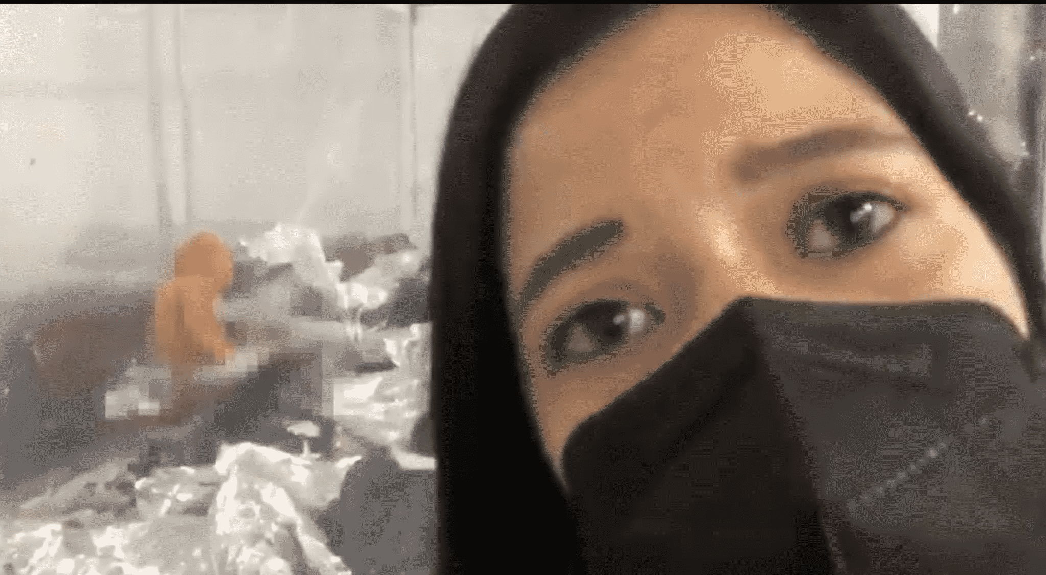 Watch: Cruz Shares Video of Biden Official Blocking Him From Filming Inside Border Facility