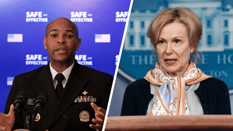 Former Surgeon General: It’s ‘Fascinating To See Zero Support’ for Birx Following CNN Interview