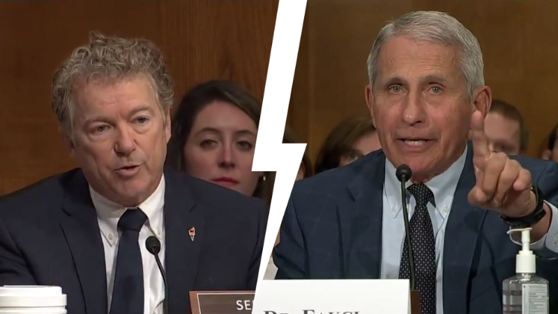 Watch: Rand Paul Accuses Fauci of Lying To Congress About Allegedly ...
