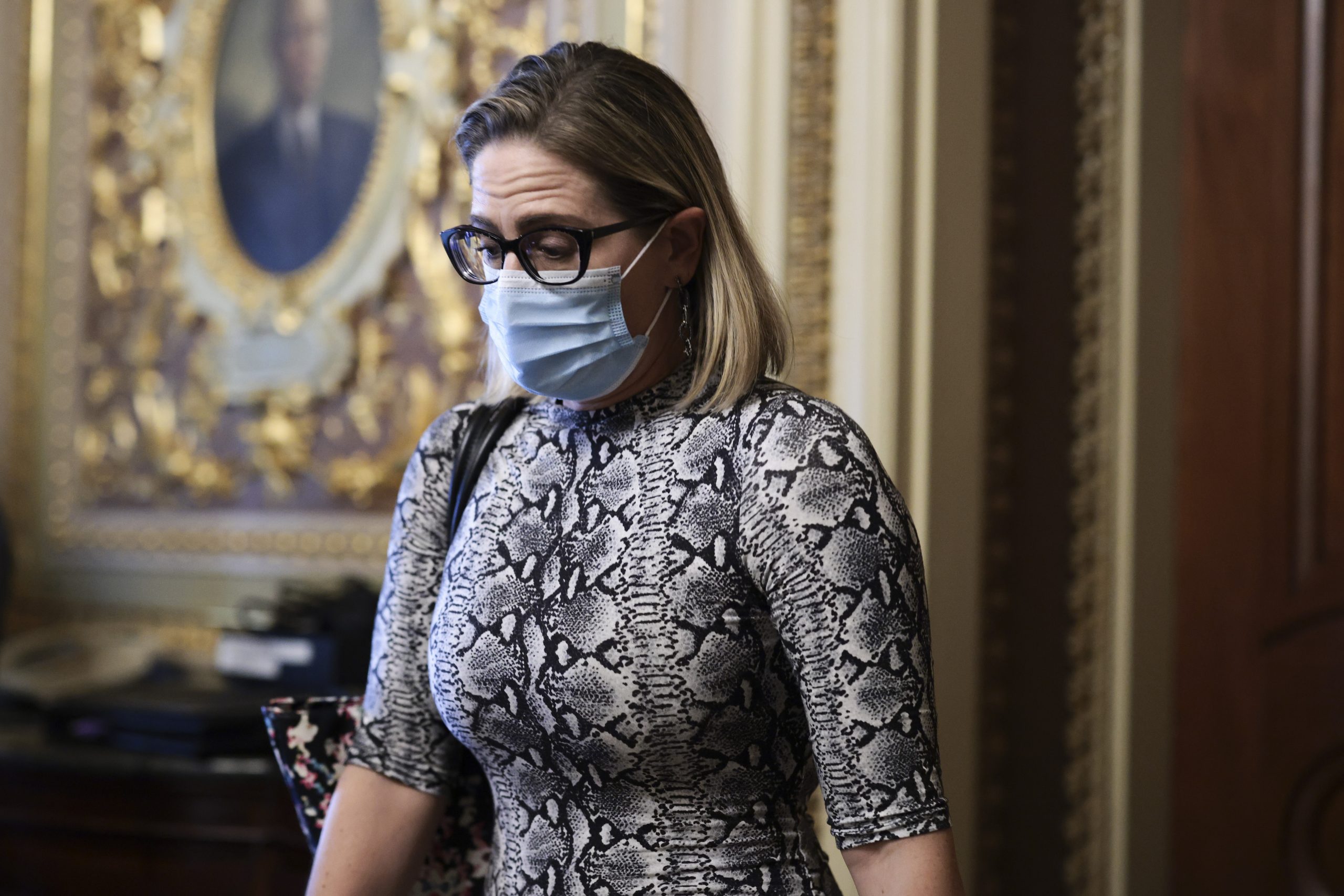 Do They Not Want the Seat? Dems Talk About Primarying Pro-Filibuster Sinema With Progressive Candidate
