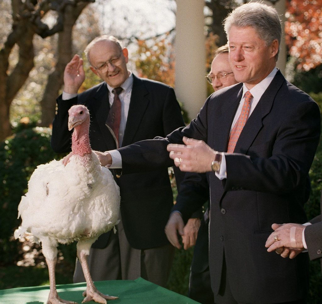 WASHINGTON, : US President Bill Clinton stands with the annual Thanksgiving turkey as his handler Walter Gislason (L) looks on during presentation ceremonies 24 November at the White House in Washington, DC. The bird, presented to the President by the National Turkey Federation was given an official pardon from becoming dinner and sent to a local petting zoo. (TIM SLOAN/AFP via Getty Images)