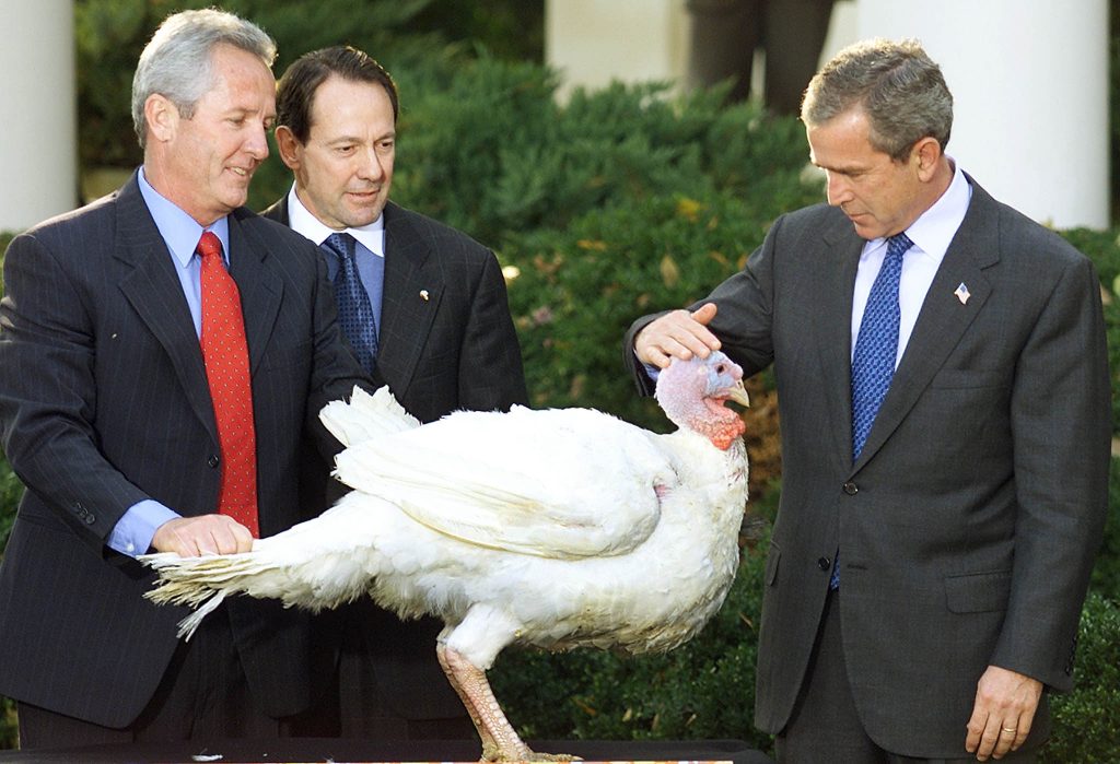 WASHINGTON, : US President George W. Bush(R) pets “Liberty” the turkey during the Annual Pardoning of the Thanksgiving Turkey in the Rose Garden of the White House in Washington, DC 19 November 2001. The turkey will go to a local petting zoo instead of being slaughtered for Thanksgiving. Behind the Turkey are Jeff Radford(L), and Stuart Proctor(C), President of the National Turkey Foundation. (LUKE FRAZZA/AFP via Getty Images)