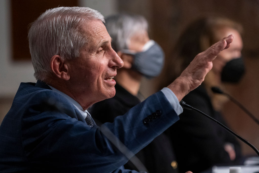 Republican Senator Plans to Introduce ‘Fauci Act’ After Butting Heads During Hearing