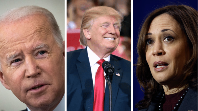 GOP House Candidate Outlines Plan to Impeach Biden, Harris and Make Trump President