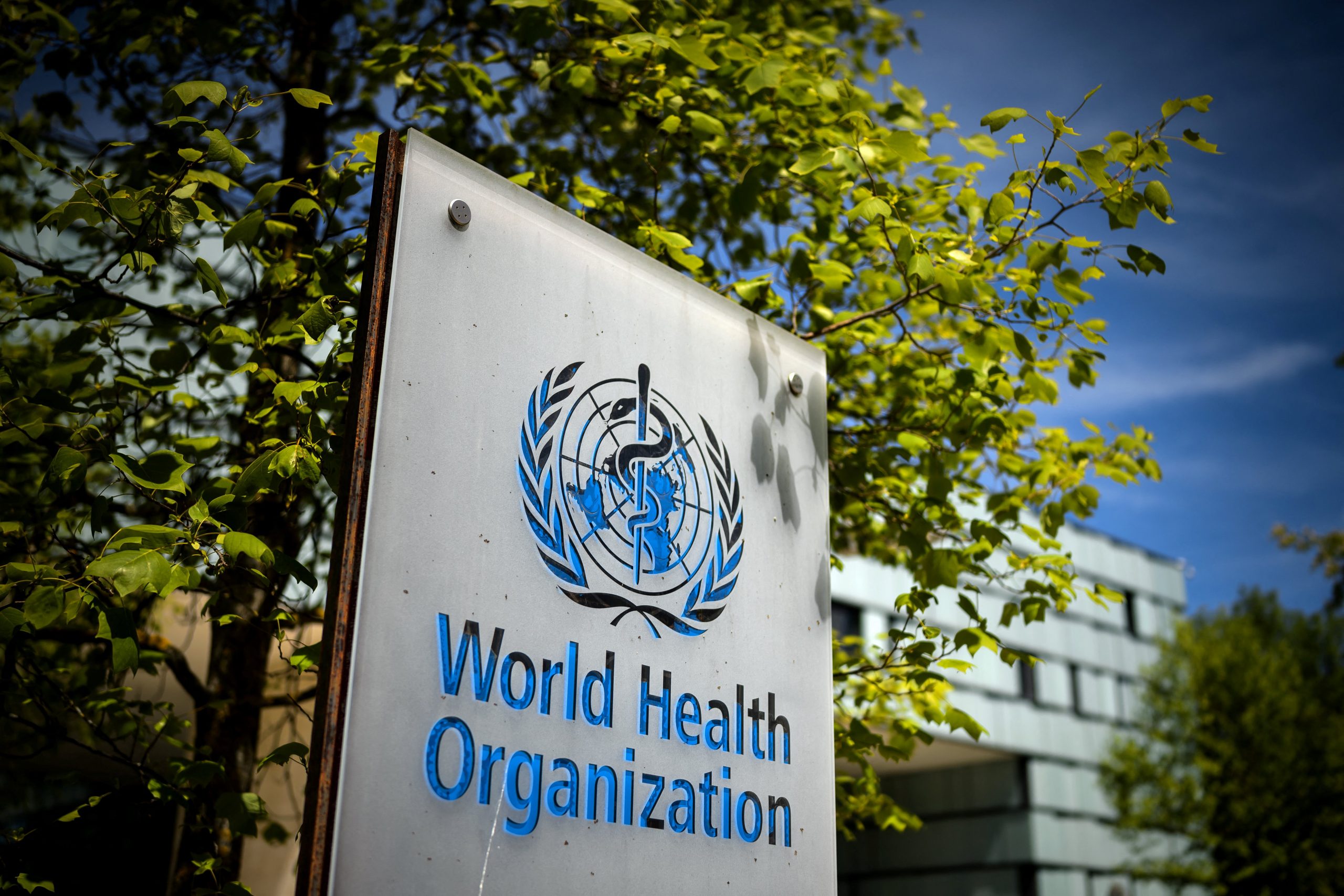 WHO Confirms Bat-Born Virus Outbreak Has Up to 88% Fatality Rate – There Is No Cure