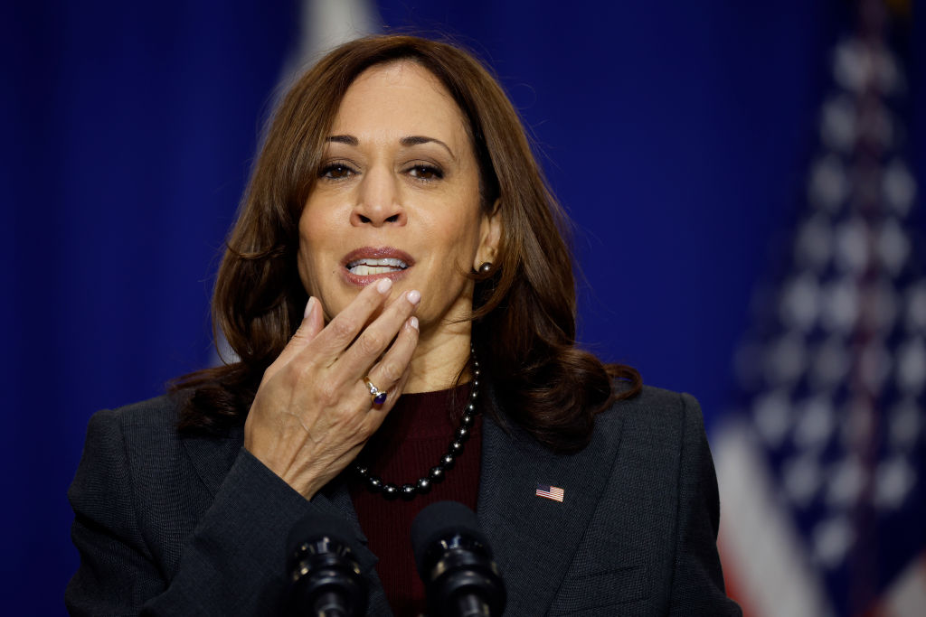 Kamala Harris Is Asked What Administration Is Doing to Fight Inflation, Listen to Her Jaw-Dropping Response