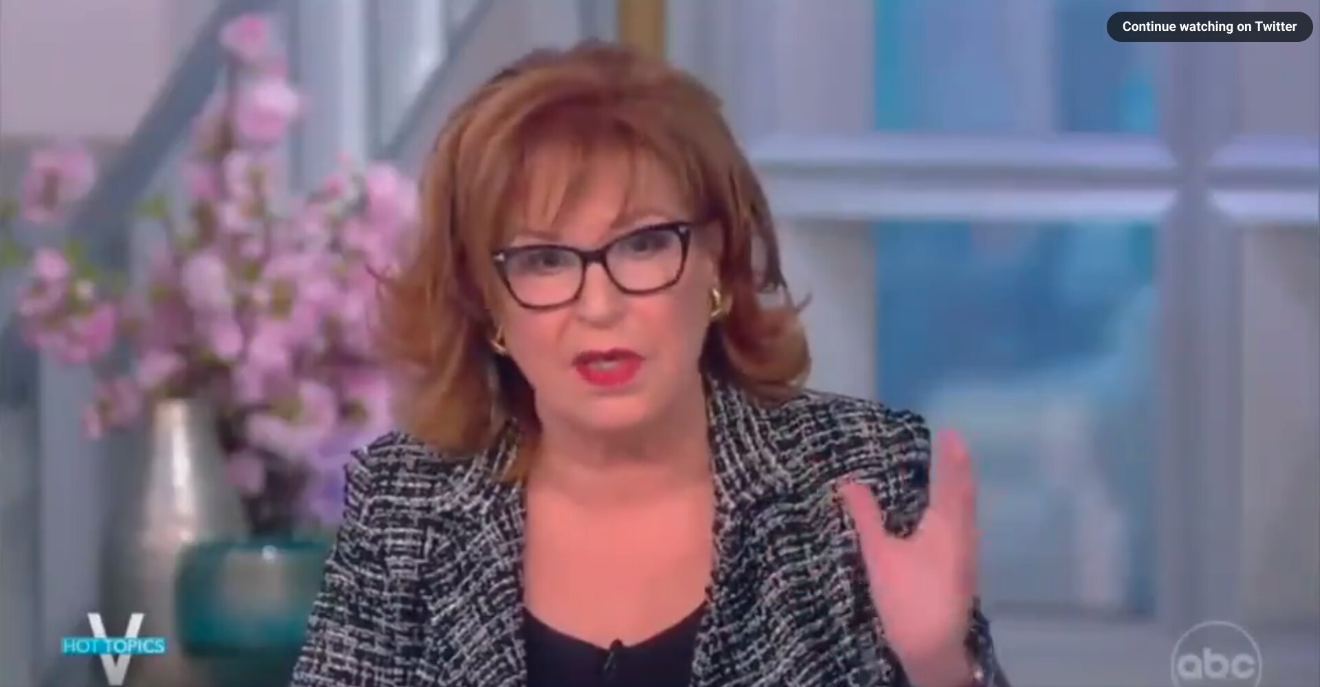 Joy Behar Rants About Gun Rights Case Before the Supreme Court but Gets Details Very Wrong
