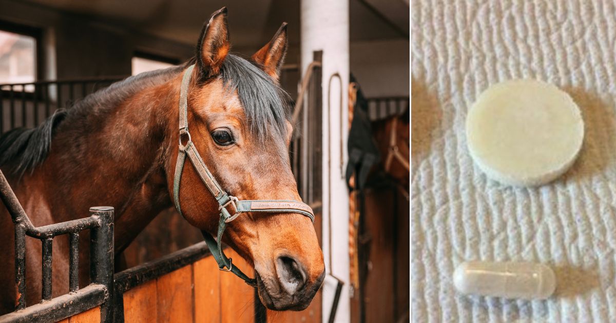 Same People Who Defamed Ivermectin As ‘Horse Dewormer’ Now Suggest Women Go to Veterinarians for Abortion Med