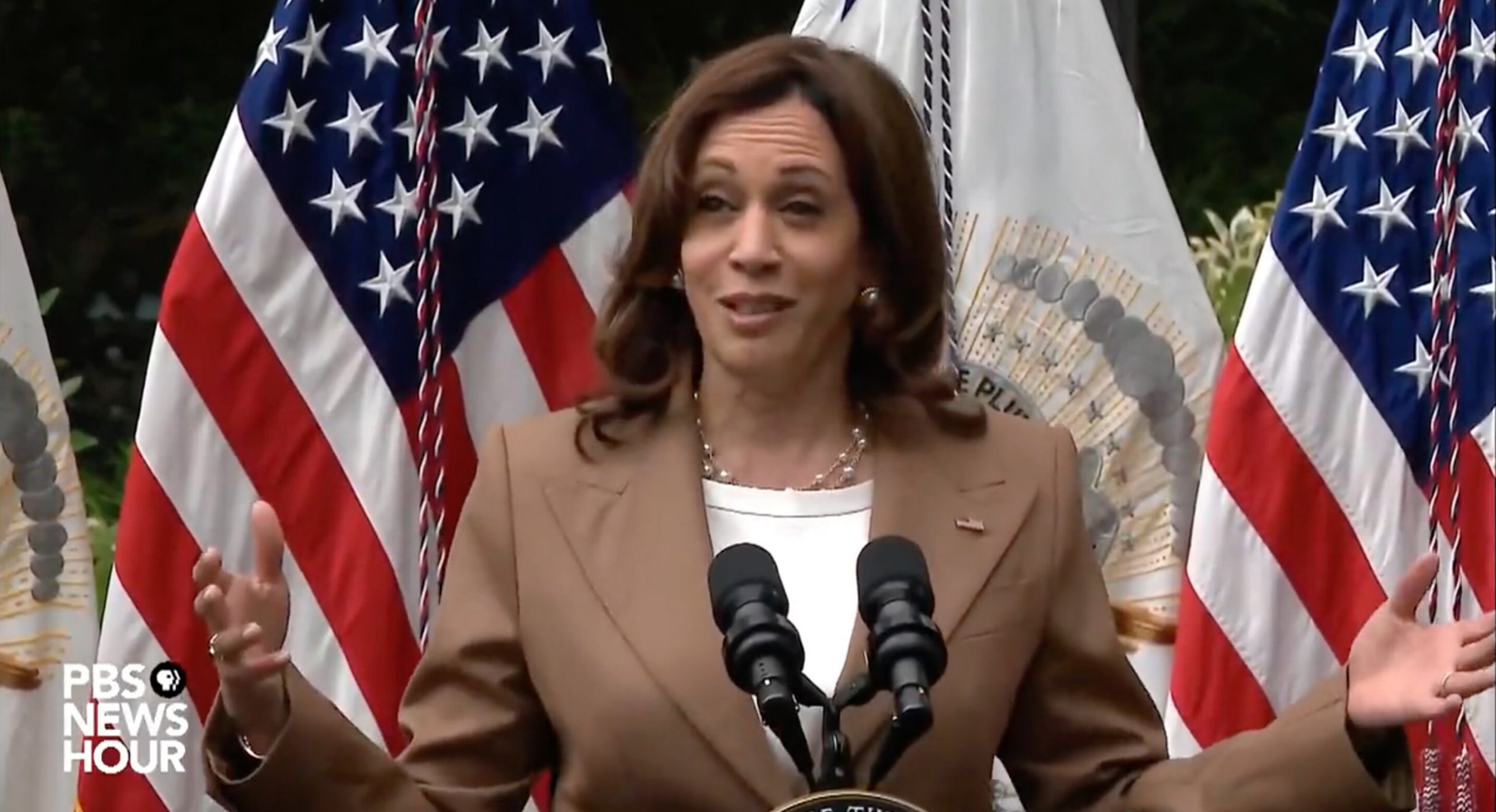 ‘What a Sentence’: Harris Roasted for Talking About ‘Children of the Community’