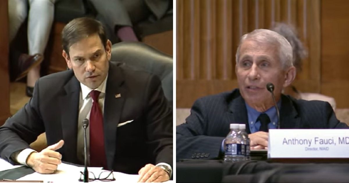 Rubio Grills Dr. Fauci: How Is It Americans With COVID Can’t Get in Country, but Illegals Can?
