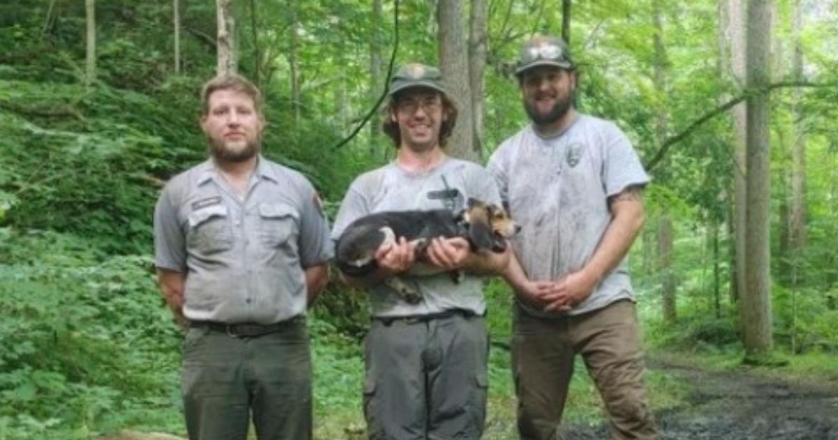 'Most Heartwarming Story of the Day': Dog Lost for a Week Found Yelping at Bottom of Pit in Nat'l Park