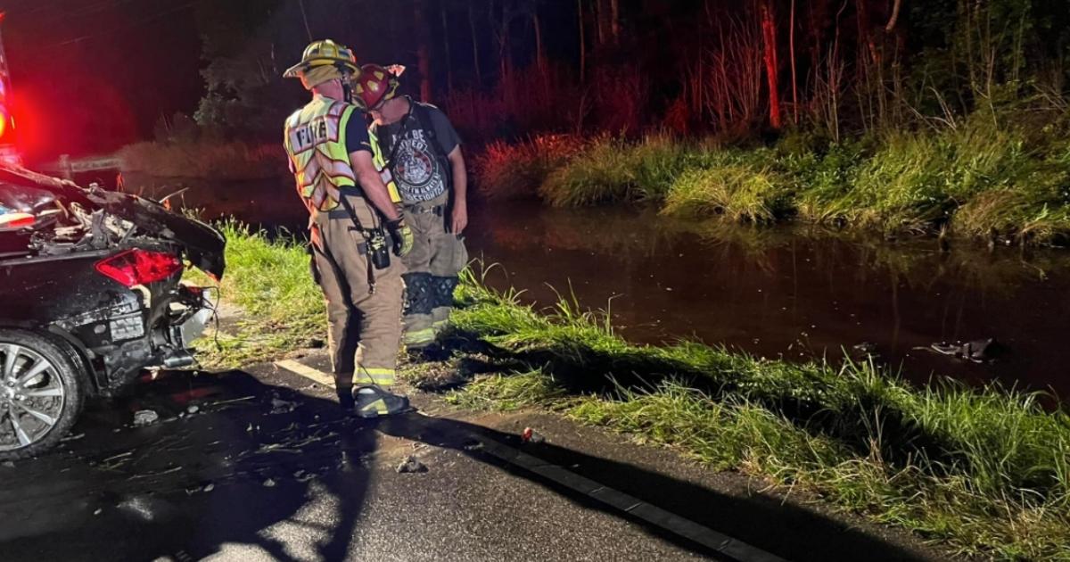 Dog Trapped in Overturned, Submerged Car for 20 Minutes Miraculously Survives
