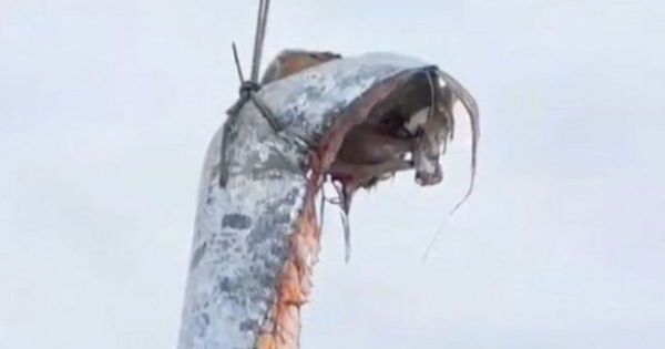 Mythical 16-Foot-Long Fish Caught, Terrified Villagers Know Last Sighting Came Before Major Disaster