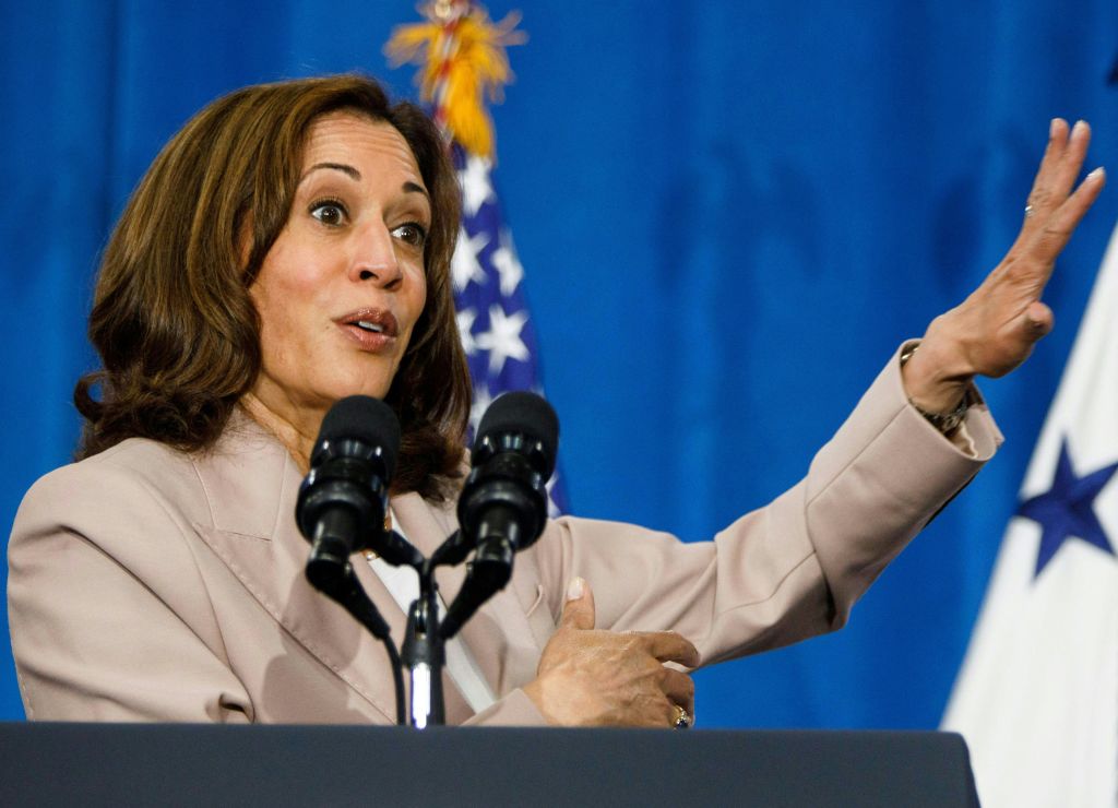 FEMA Head Pushes Back After Harris’ ‘Equity’ and Hurricane Relief Remarks Spark Concerns