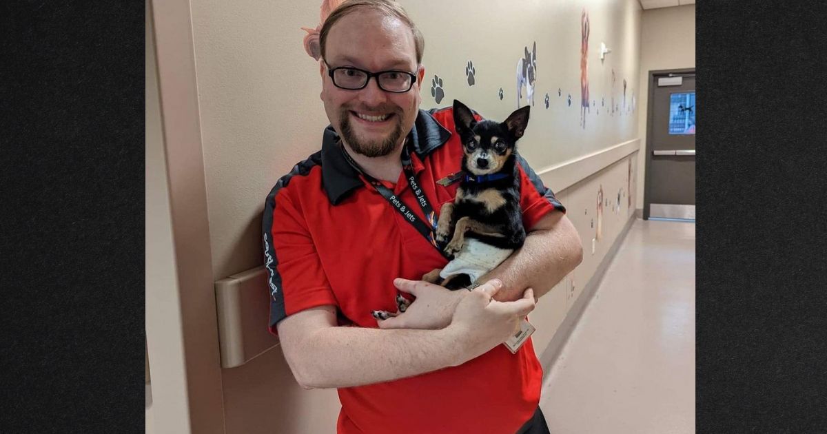 Old Abandoned Dog Gets Trip of a Lifetime after Southwest Employee Volunteers to Fly Him to New Home