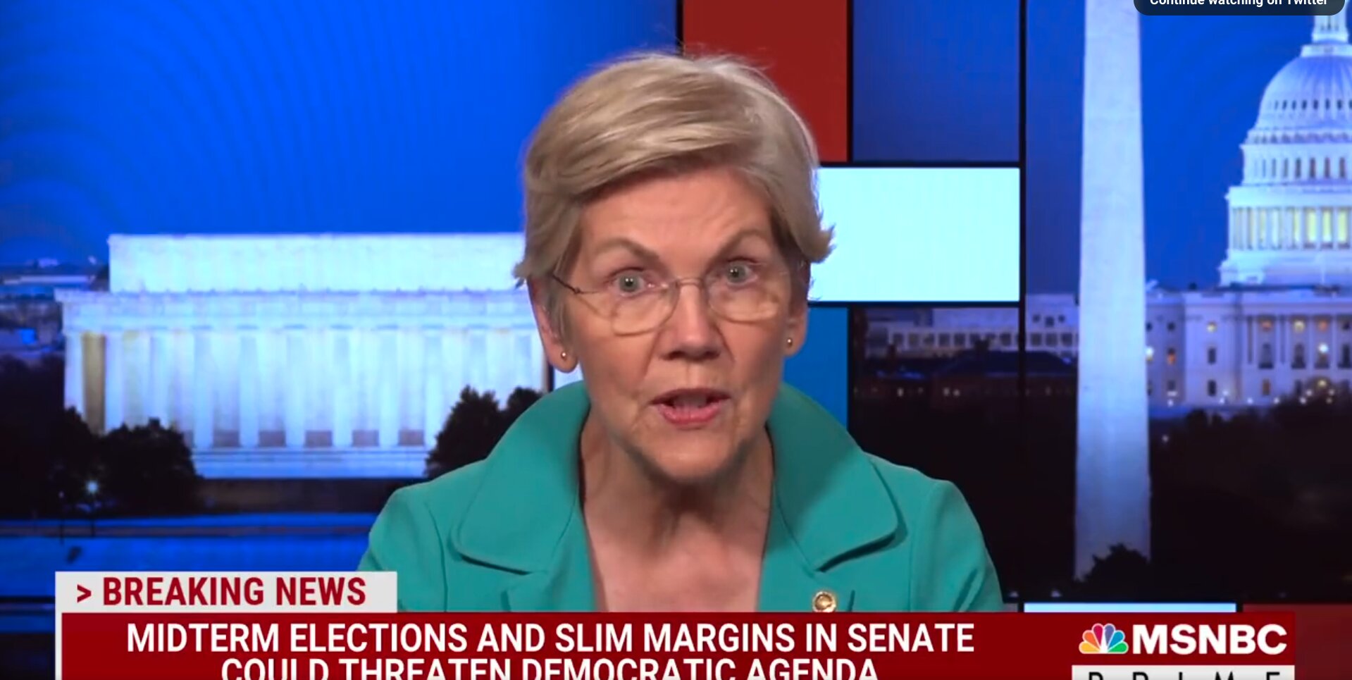 Video: Warren Asked the Big Question About Biden and 2024 – Tells Dems to ‘Stop the Catnip’