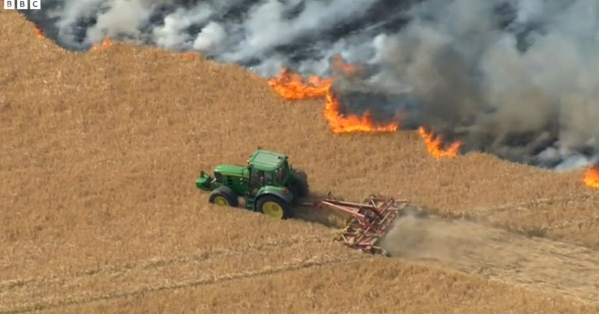 Desperate Farmer Tears Through Field, Plows a Line Just Yards Away from Wildfire