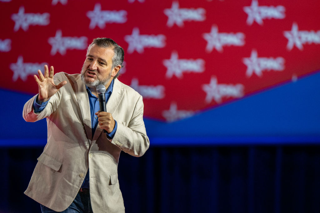 Ted Cruz Shares Pronoun Preference in Just 3 Words to Roaring Crowd