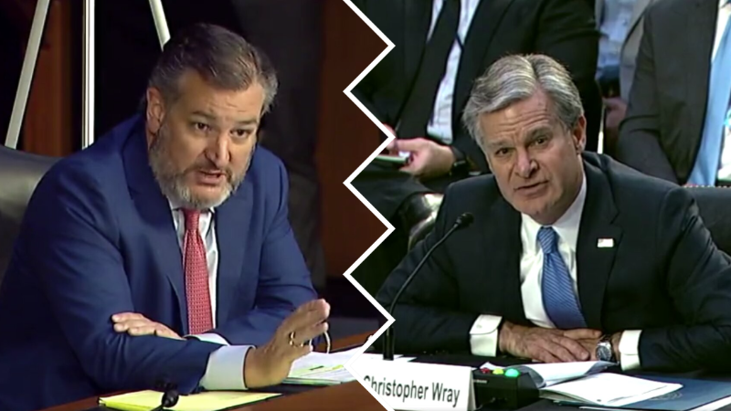 Cruz Grills FBI Director Over Document Which Lists ‘Patriotic Symbols’ As Signs of ‘Militia Violent Extremism’