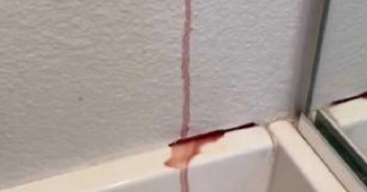 Woman Shocked to Find Wall 'Bleeding' with No Apparent Damage to Pipes