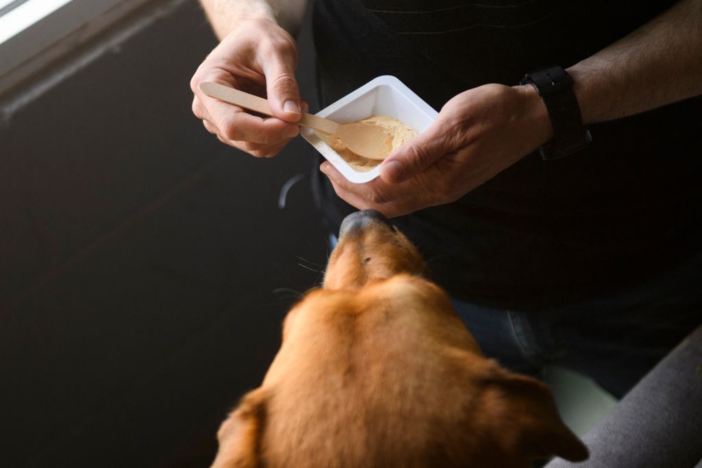 CNN Makes Cruel Suggestion About Feeding Your Dog