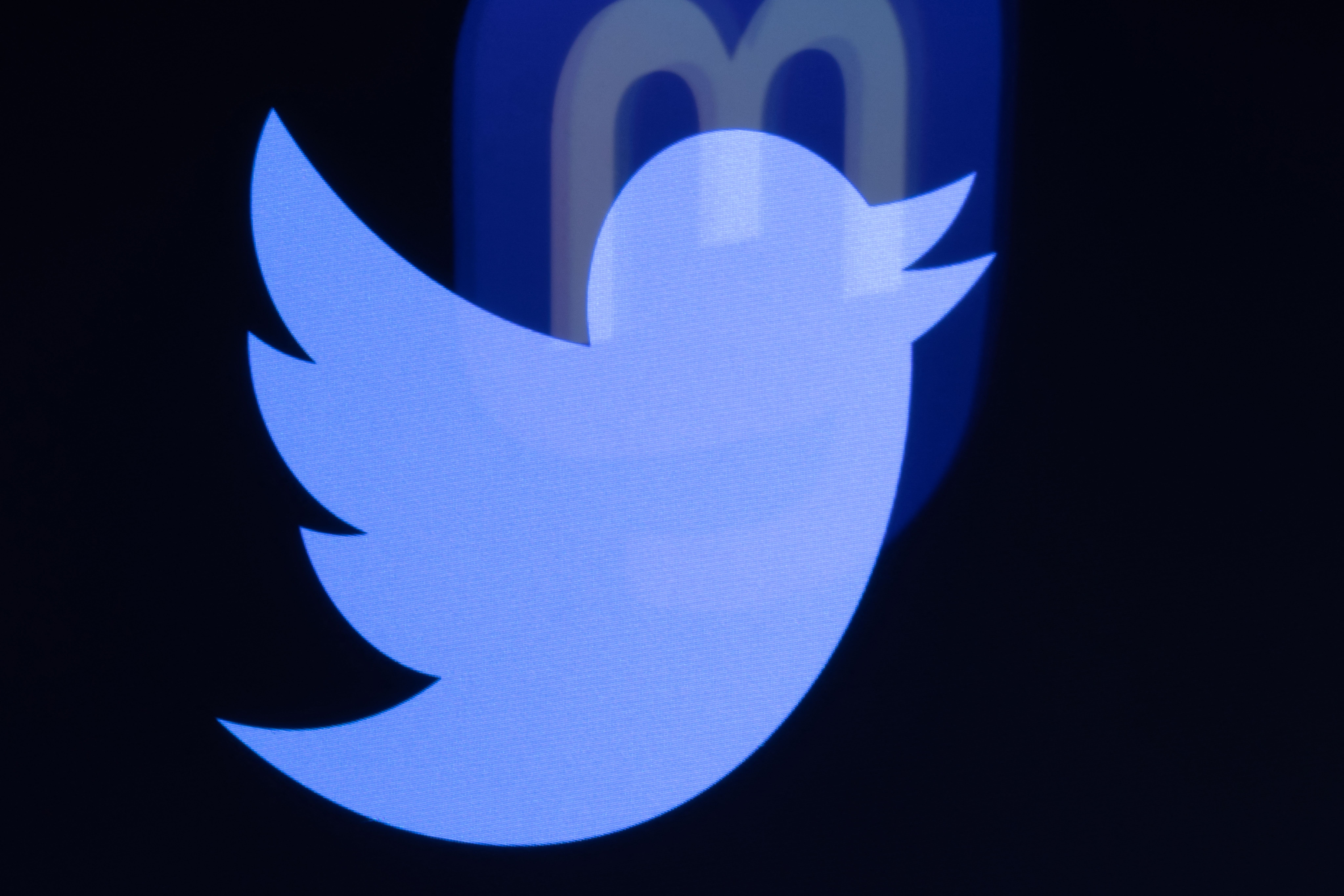 Musk’s Twitter Revives Big Name as He Makes First Post in Years: ‘I’m BAAAAAAAAAAAAAAAAAACK’
