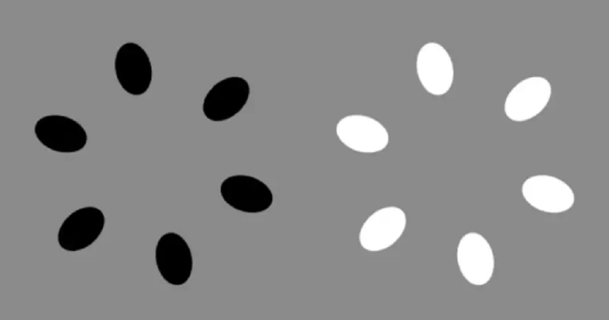 Can You Pin Down This Eye-Catching Optical Illusion? It May Leave Your Head Spinning