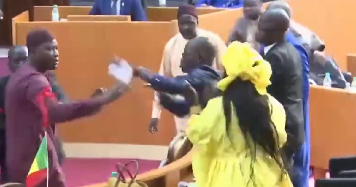 Watch: Lawmaker Slaps Female Politician in Parliament, All Hell Breaks Loose, Chair Thrown