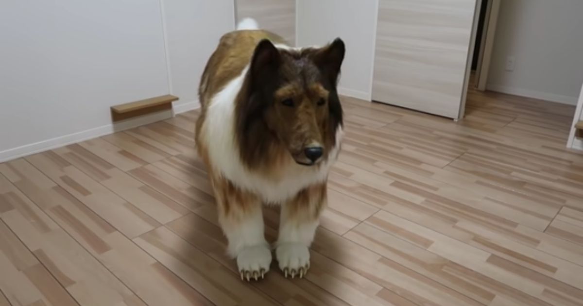 Man Who Spent Thousands of Dollars to Turn Himself Into ‘Giant Dog’ Has Big Realization