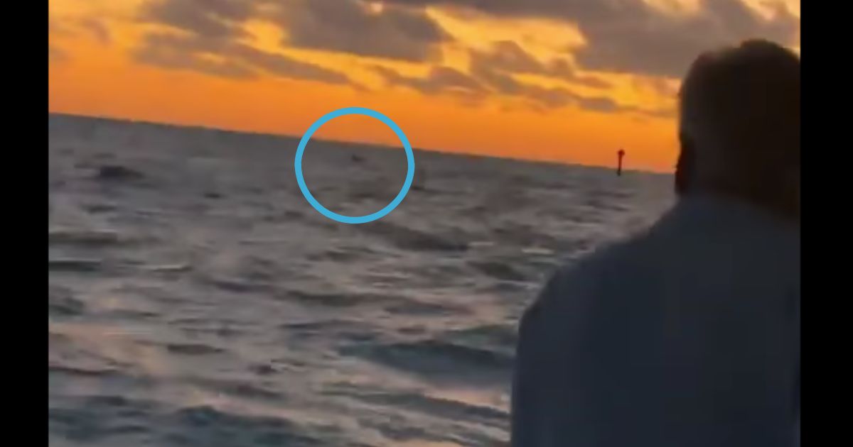 ‘That’s God’: Family Overjoyed to Find Son Who Had Been Lost at Sea Clinging to Makeshift Raft