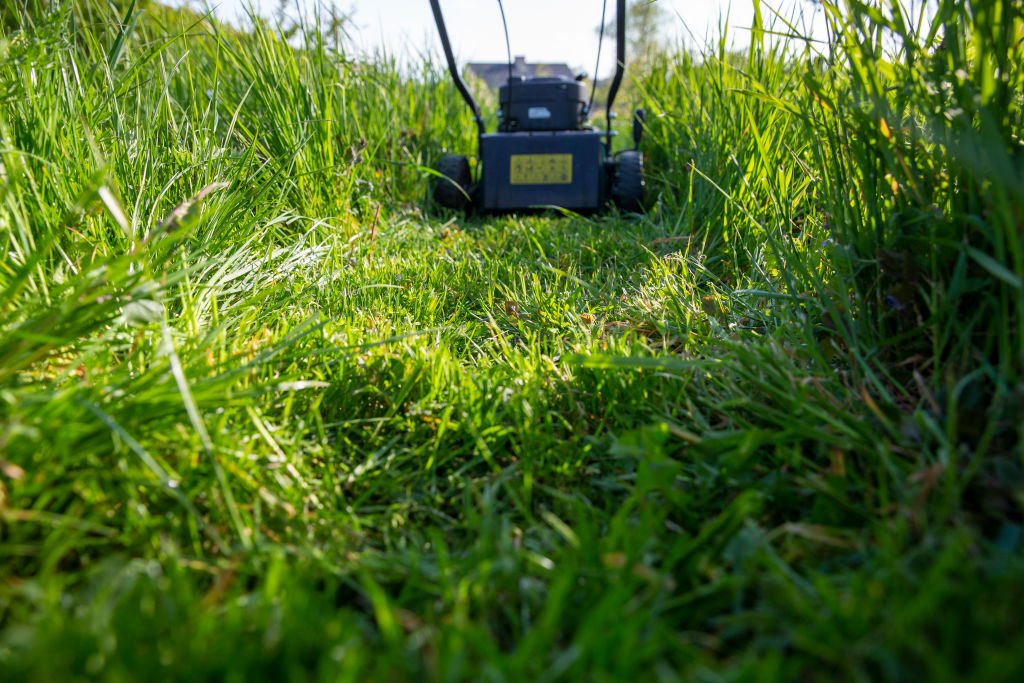 We Called It: Dems Now Coming for Your Gas Lawn Mowers and at Least 7 Other Items