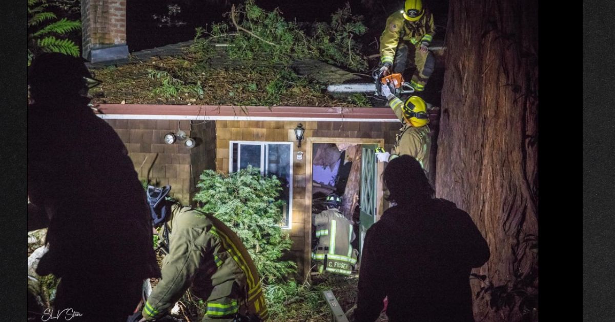 ‘There’s a Tree on My Baby!’: Family Calls Toddler’s Survival a ‘Miracle’ After Huge Tree Crushes Home