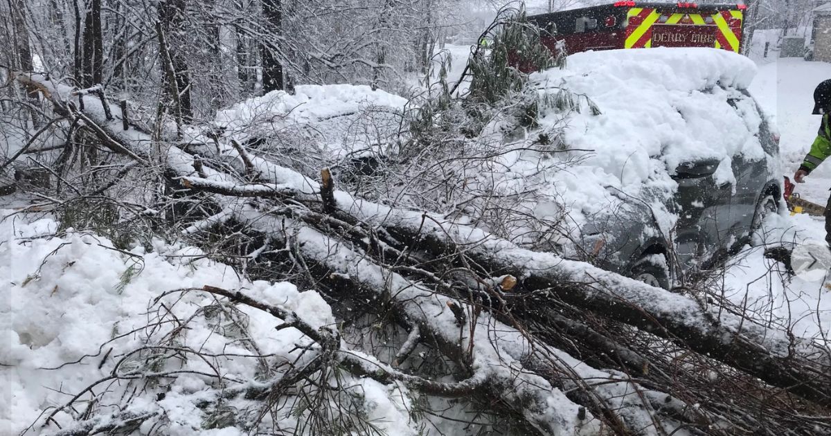 19 Firefighters and Police Use Bare Hands, Chainsaws and Shovels to Save Child Struck by Fallen Tree