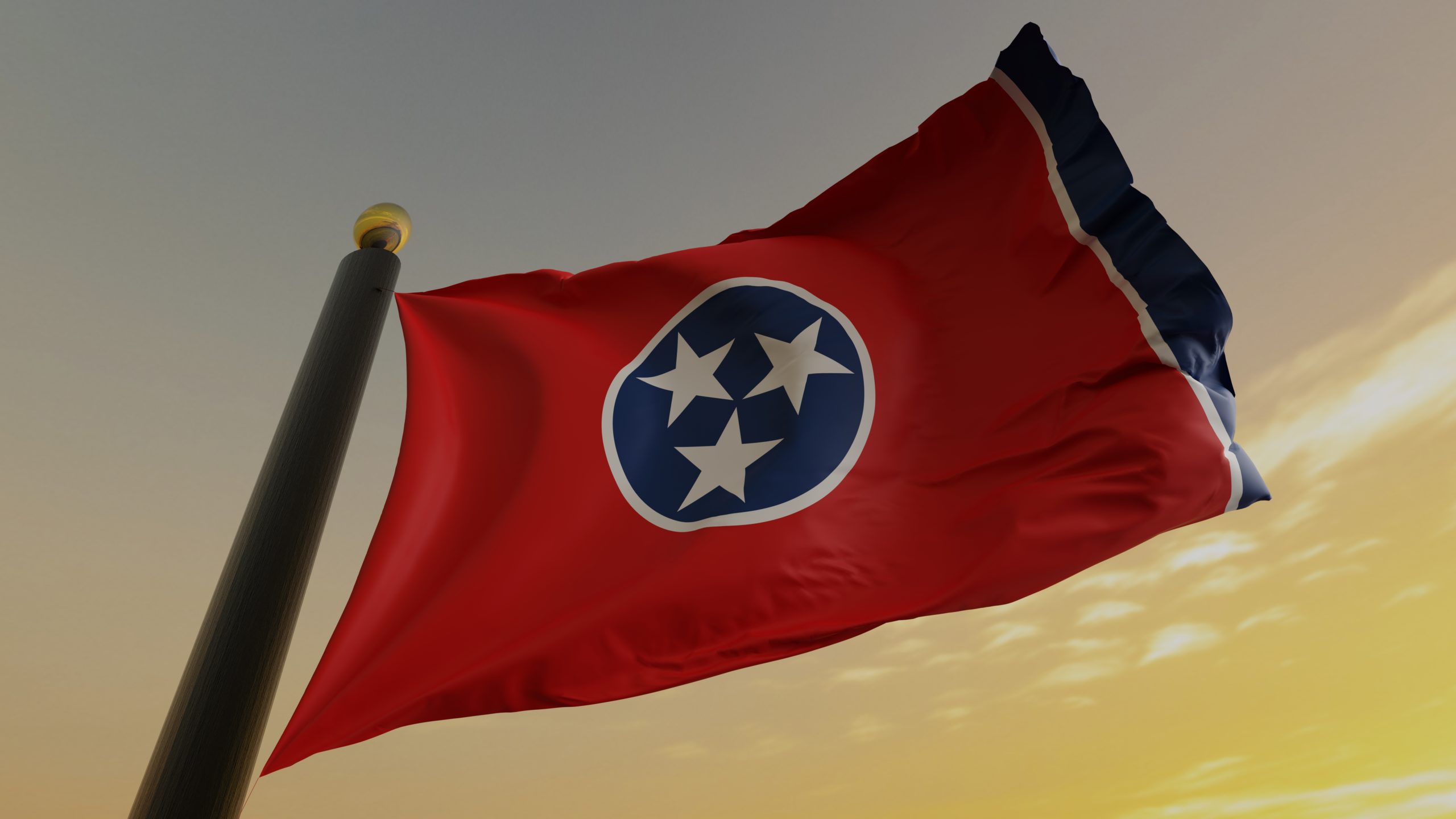 Tennessee Lawmaker Issues Apology After Proposing Method of Execution