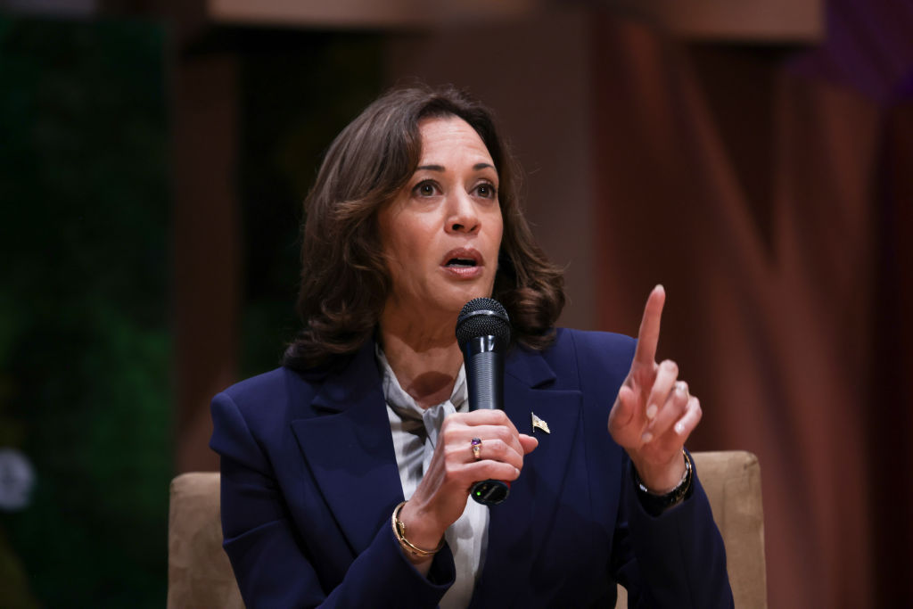 Embarrassing Dem Infighting: Upset Kamala Harris Won’t Return Elizabeth Warren’s Phone Calls – Report