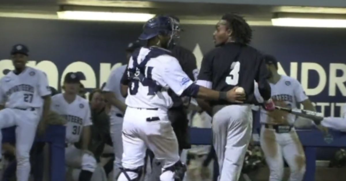 Home Plate Umpire Suspended Indefinitely After Call That Left Batter Screaming