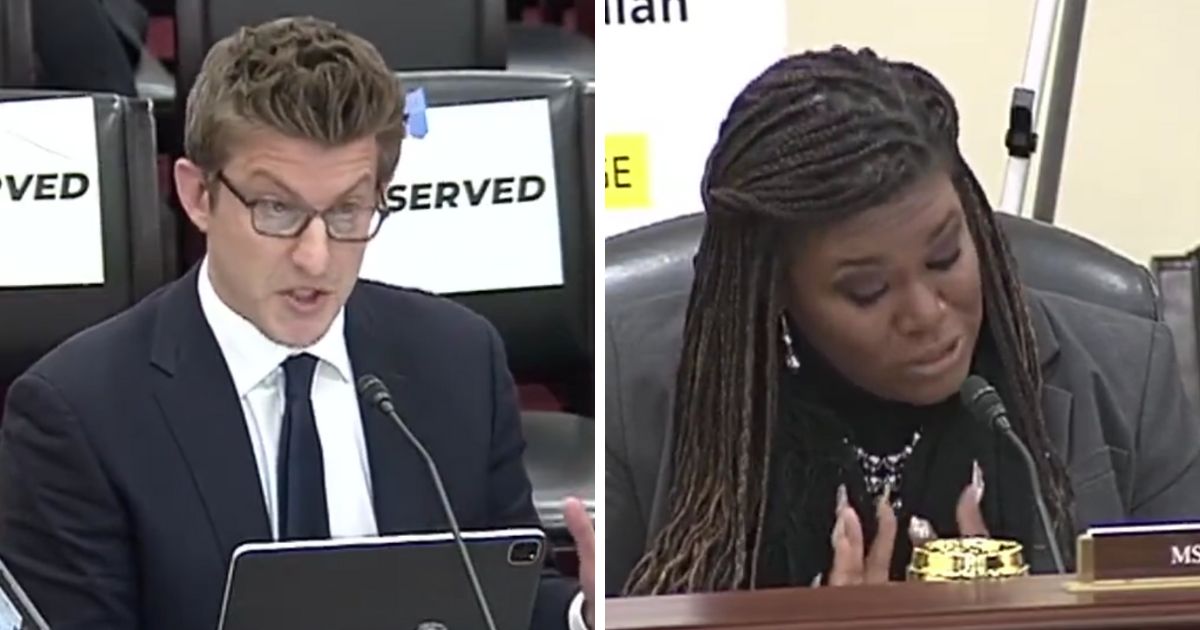 Expert Witness Fires Back After ‘Squad’ Member Tries to Derail Hearing with Racism Accusation