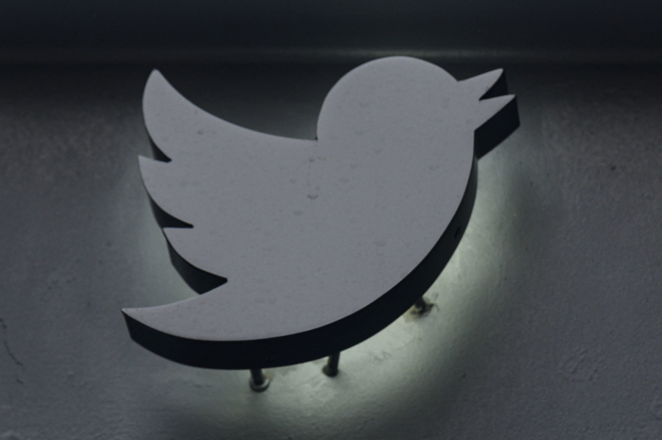 Change to Twitter Logo Confuses Users: ‘Petition to Rename’ Tweet to ‘Bark’
