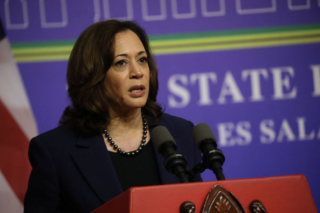 Kamala Harris Staffers Revolted by What They’re Being Served on Air Force Two: ‘Horrible Slop’