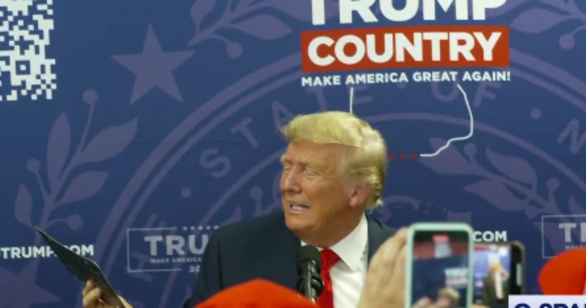 Trump Handed Custom New Hampshire License Plate with 2 Words on It: Iconic Video