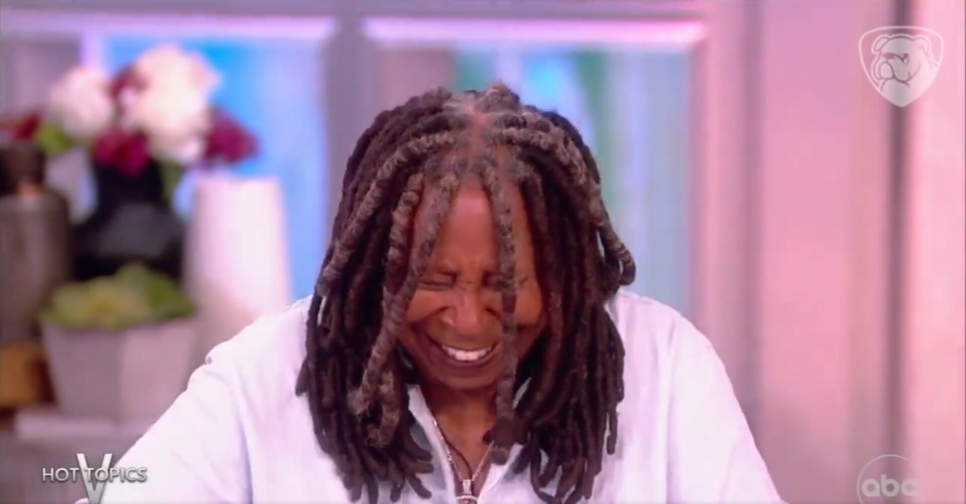 ‘The View’ Co-Hosts Joke About Biden’s Dog Reportedly Biting People in the White House