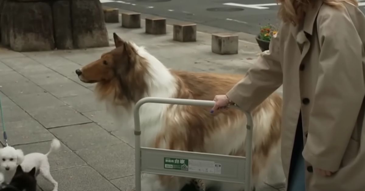 If You See This Walking Down the Street, Don’t Approach – It’s Not a Dog