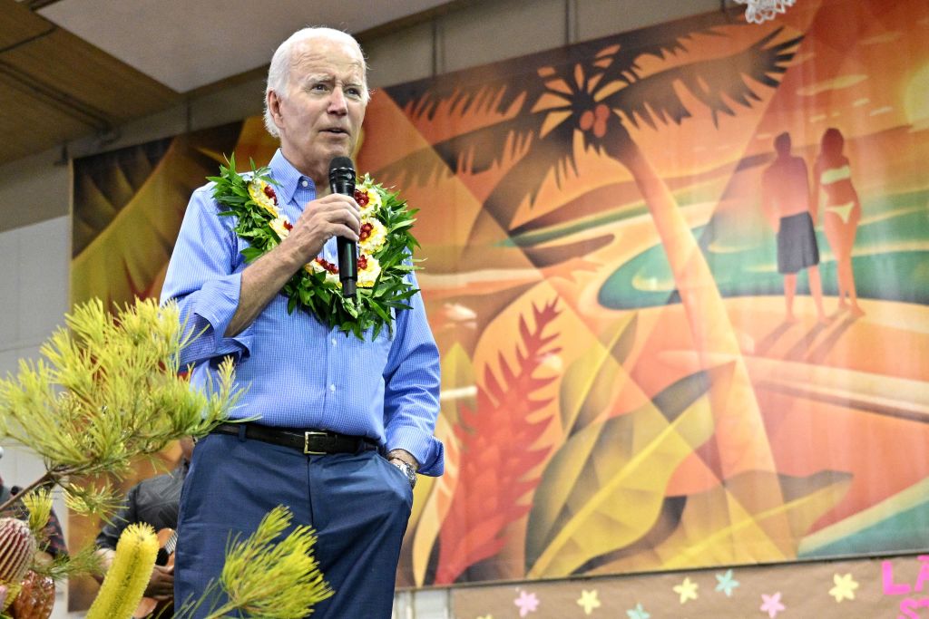 Biden Once Again Talks Lightning Strike, Small Kitchen Fire at House and Compares It to Maui Devastation