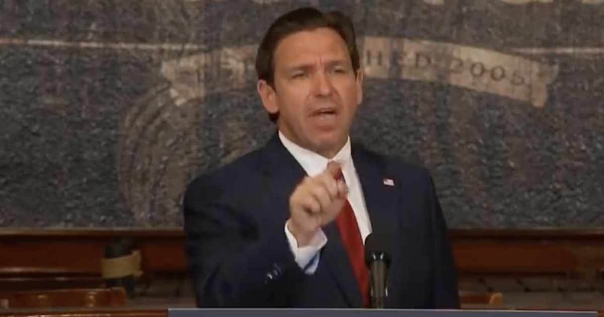 DeSantis Torches ‘Left-Wing Activist’: ‘I Will Not Let You Accuse Me of Criminal Activity’
